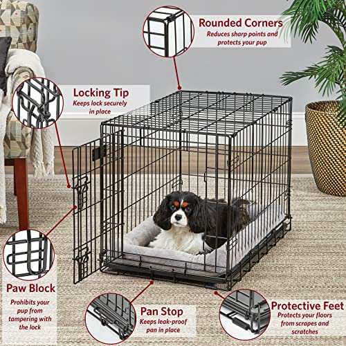 MidWest Homes for Pets Double Door 36-Inch Folding Dog Crate Y75670