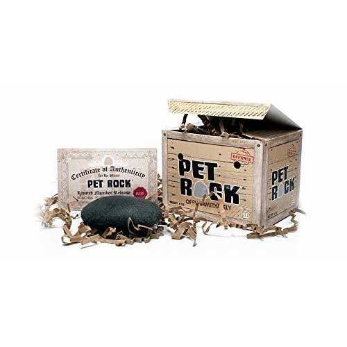 Pet Rock The Original by Gary Dahl Q366