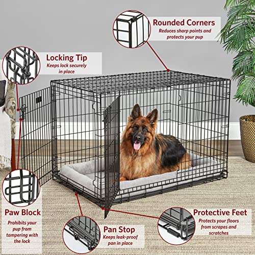 MidWest Homes for Pets Double Door 36-Inch Folding Dog Crate Y75670