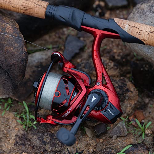 KastKing Royale Legend Spinning Reel V7800