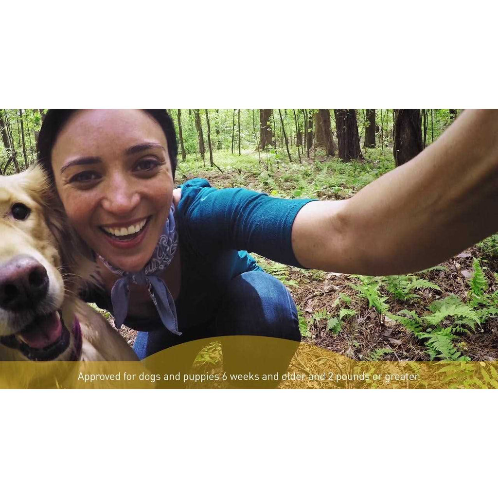 Interceptor Plus for Dogs Q929