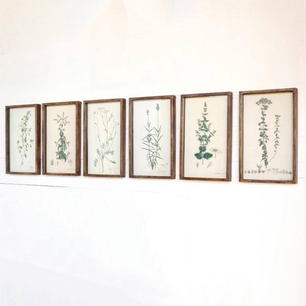 Collected Botanical Prints, Set of 6 N3955