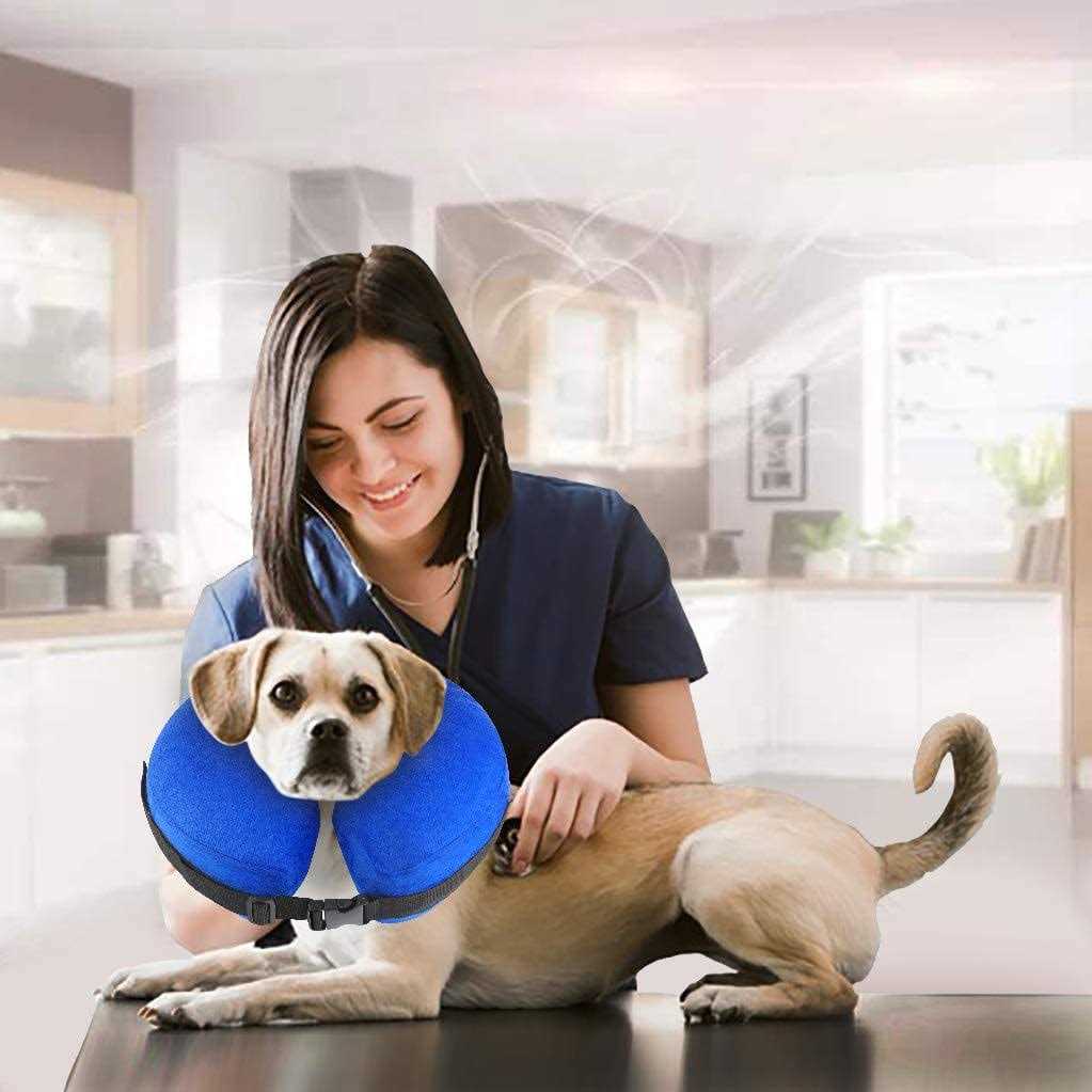 Cowin Protective Inflatable Cone Collar for Dogs and Cats Soft Pet Recovery E-Collar B459992
