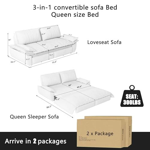 Queen Size Futon Sofa Bed with 2 Pillows, Blue V9731
