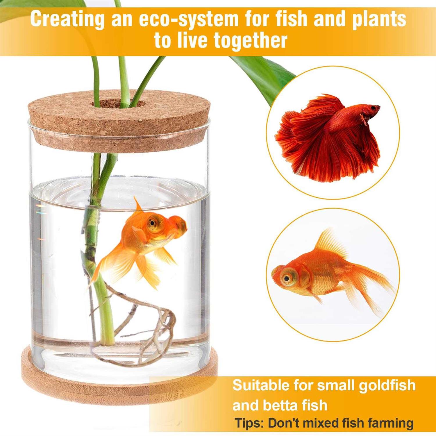 Biggun Betta Fish Tank Mini Glass Aquarium for Hydroponic Plant Terrarium J894153