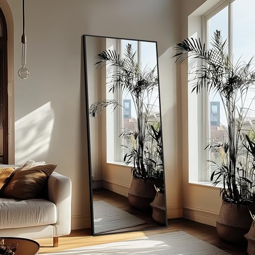 Delma Wall Full Length Mirror with Aluminium Frame, 56x15, Black Z730