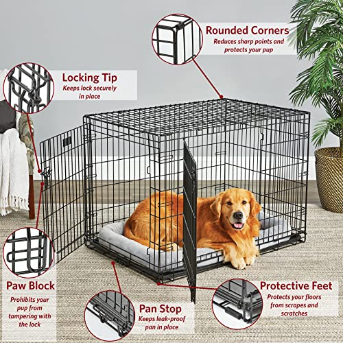 MidWest Homes for Pets Double Door 36-Inch Folding Dog Crate Y75670