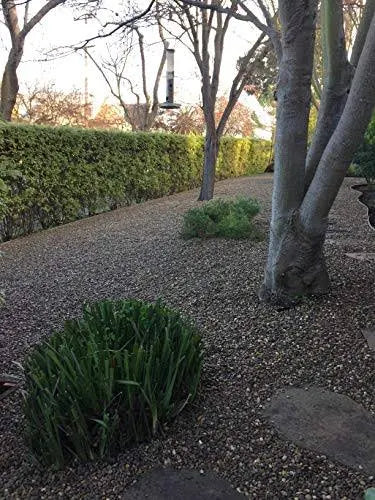 Standartpark HEXpave Grid Permeable Paver System for DIY Patio H827