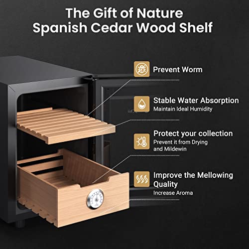 KingChii 16L Electric Cigar Humidor Cabinet with Temperature Control and Spanish Cedar Shelves H300