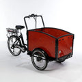 Versatile 3-Wheel E-Bike | Classic Electric Tricycle for Seniors