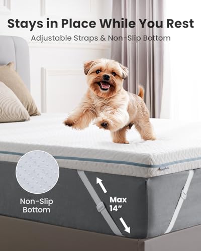 Dreamsmith Twin XL Mattress Topper 3 Inch Cooling Gel Memory Foam with Removable Washable Cover S93820