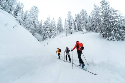 Atomic Backland 100 Skis S47079
