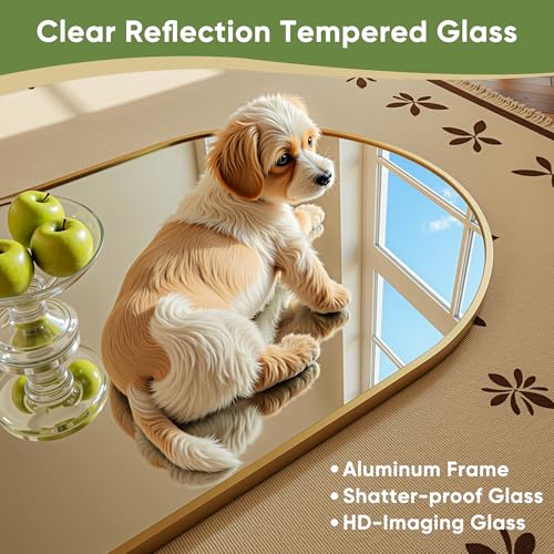 78" Oversized Arched Floor Mirror with Stand, Aluminum Frame, Black N18643