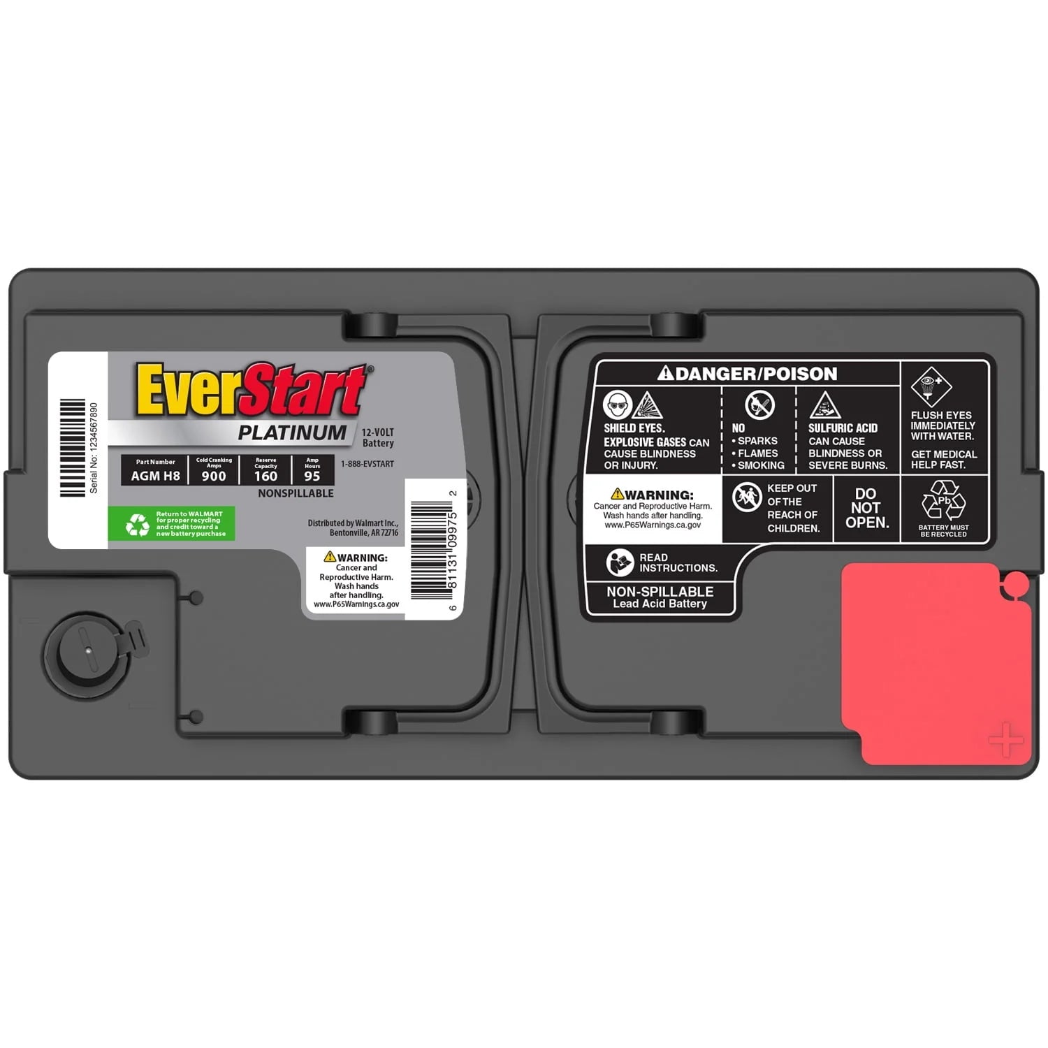 EverStart Platinum AGM Battery Group Size H8 12V 900 CCA M528612