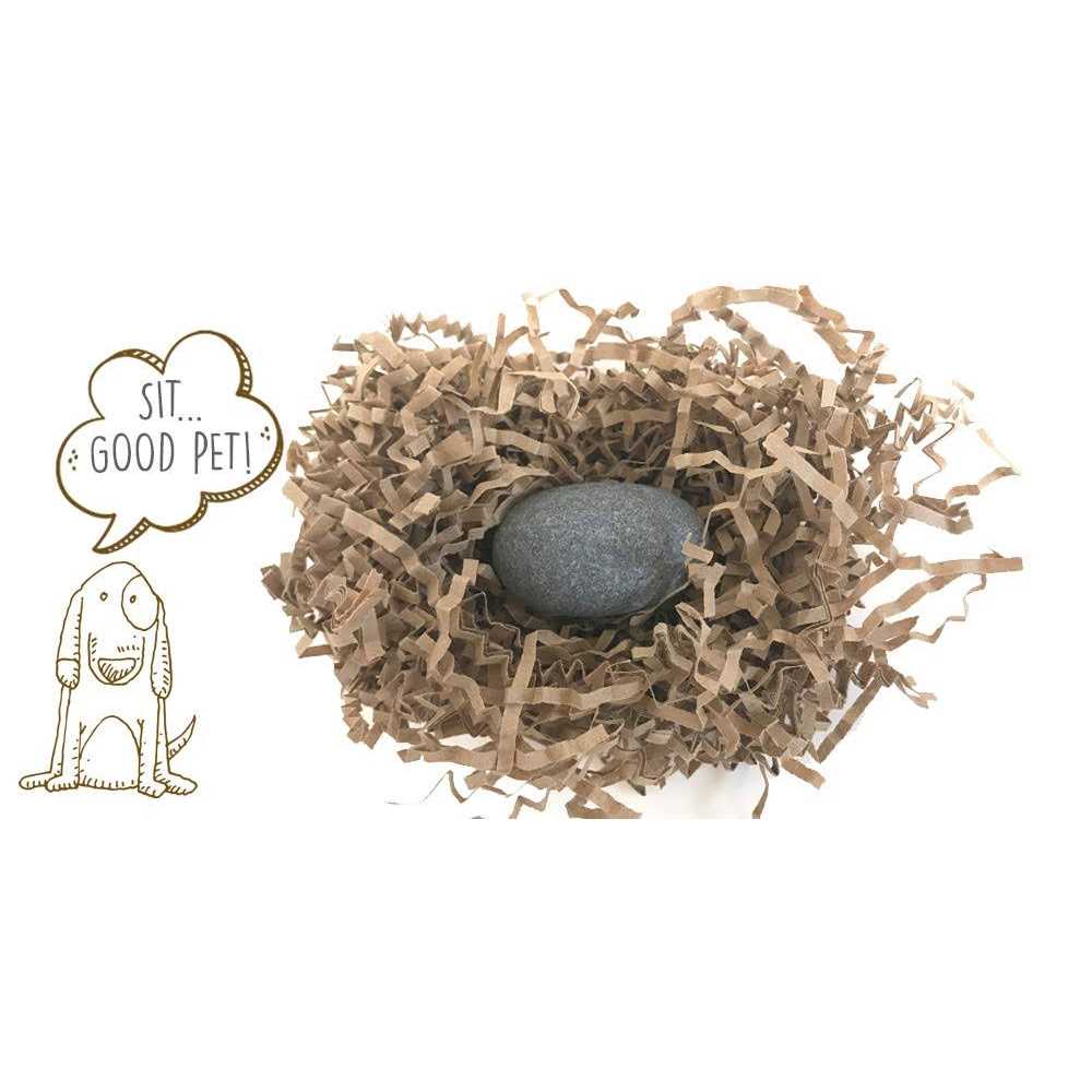 Pet Rock The Original by Gary Dahl Q366