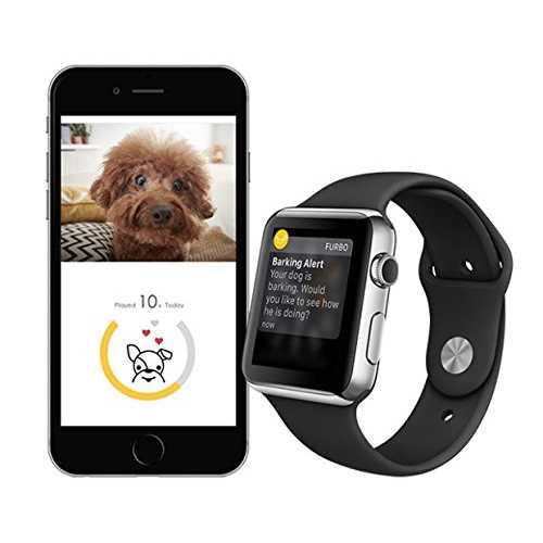 Furbo Dog Camera J5567