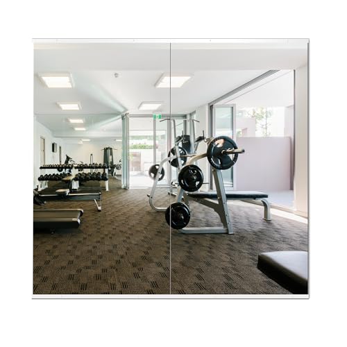 Delma Wall Full Length Mirror with Aluminium Frame, 56x15, Black Z730