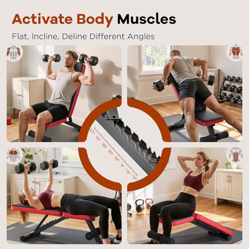 NICEPEOPLE Foldable Weight Bench for Home Gym, 660LBS Capacity Y3204