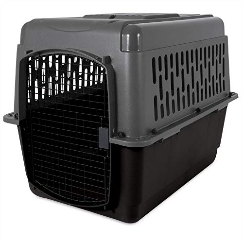 Petmate ASPEN PET Pet Porter Dog Kennel I262246