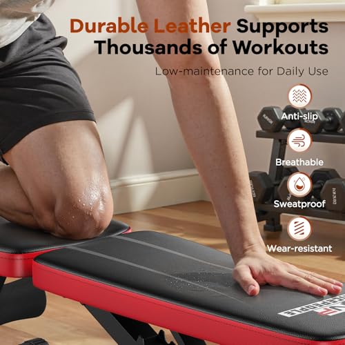 NICEPEOPLE Foldable Weight Bench for Home Gym, 660LBS Capacity Y3204