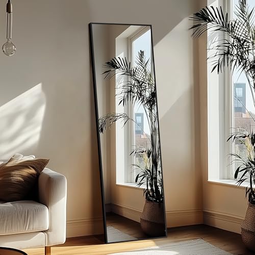 Delma Wall Full Length Mirror with Aluminium Frame, 56x15, Black Z730