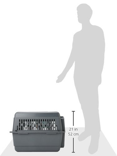 Petmate ASPEN PET Pet Porter Dog Kennel I262246