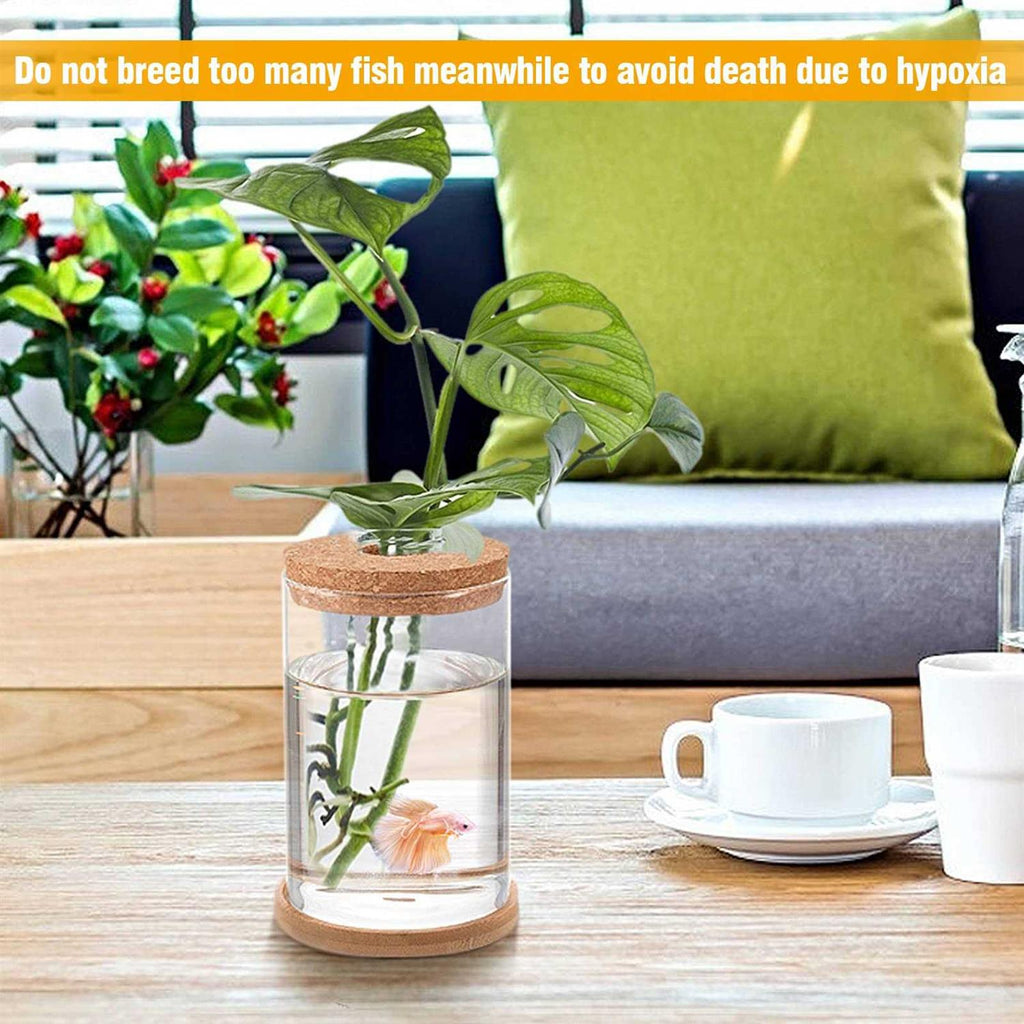 Biggun Betta Fish Tank Mini Glass Aquarium for Hydroponic Plant Terrarium J894153