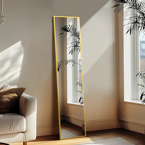 Delma Wall Full Length Mirror with Aluminium Frame, 56x15, Black Z730