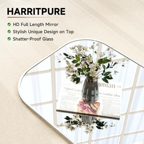 HARRITPURE 57"x20" Full Length Mirror with Aluminum Frame, Gold A38098