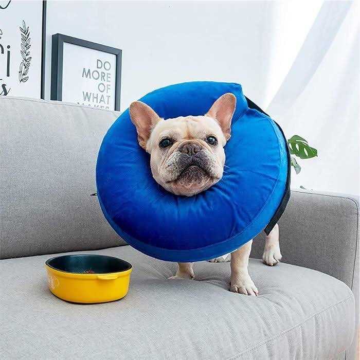 Cowin Protective Inflatable Cone Collar for Dogs and Cats Soft Pet Recovery E-Collar B459992