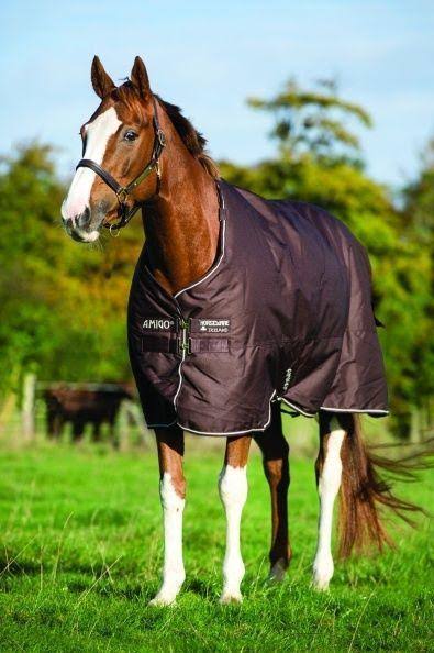 Amigo Bravo 12 Turnout Sheet A486