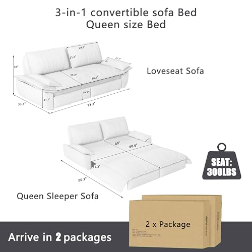 Queen Size Futon Sofa Bed with 2 Pillows, Blue V9731