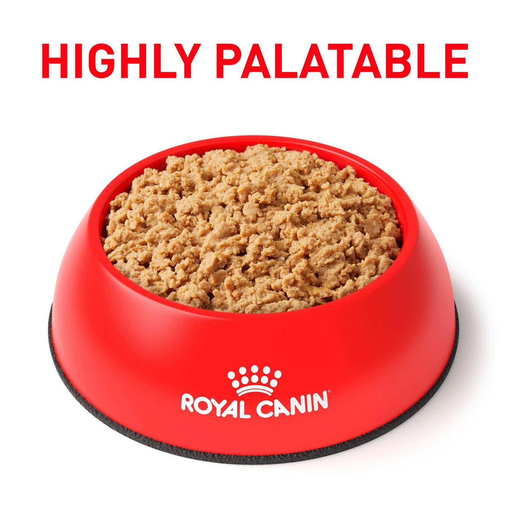 Royal Canin Veterinary Diet Gastrointestinal Loaf Wet Cat Food H380