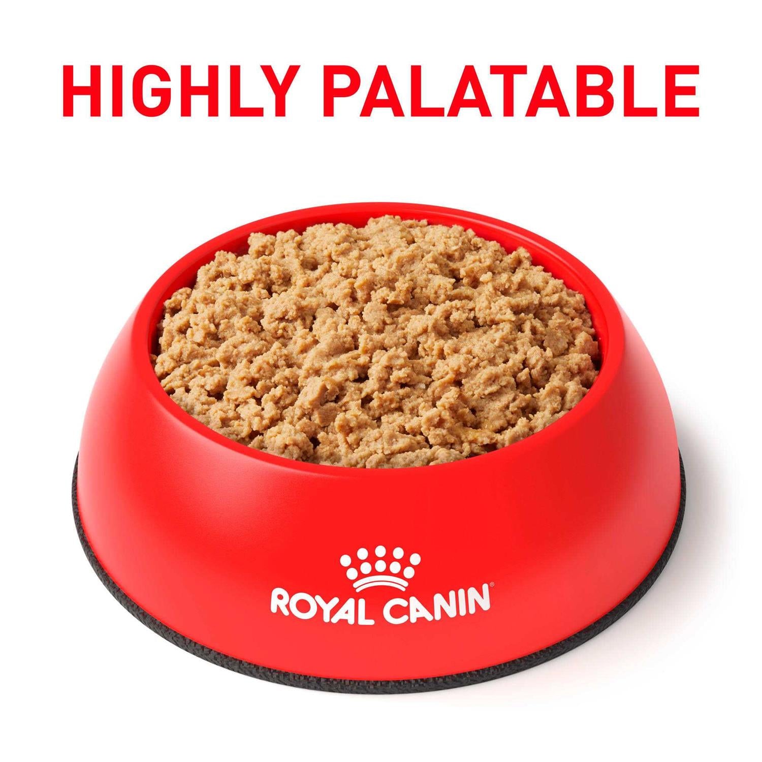Royal Canin Veterinary Diet Gastrointestinal Loaf Wet Cat Food H380