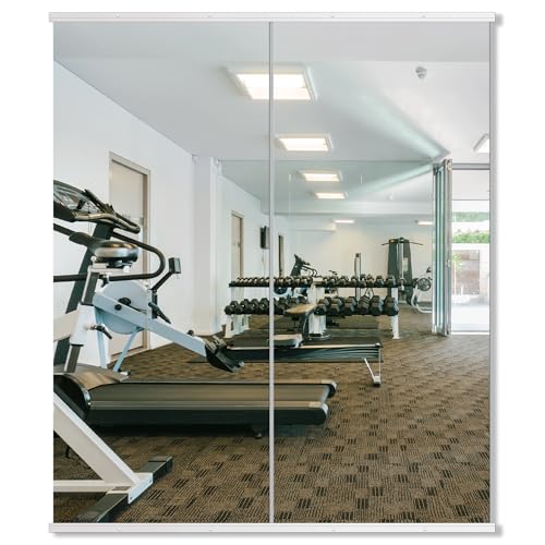 Delma Wall Full Length Mirror with Aluminium Frame, 56x15, Black Z730