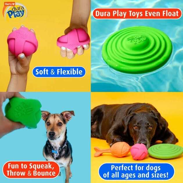 Hartz Dura Play Disc Bacon Scented Dog Toy I556