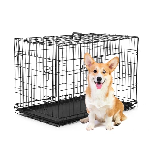 BestPet 42 Inch Folding Metal Wire Dog Crate with Double-Door and Removable Tray O49217