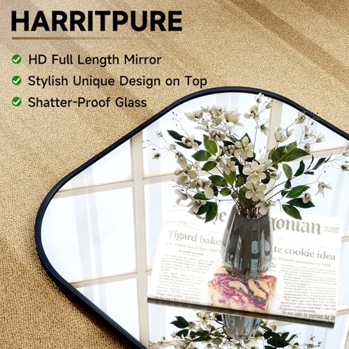 HARRITPURE 57"x20" Full Length Mirror with Aluminum Frame, Gold A38098