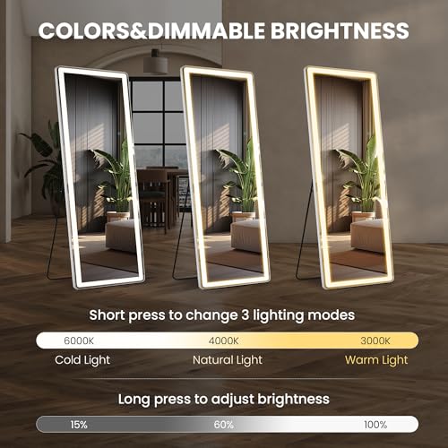 Arched Full Length Mirror with LED Lights, 60"x16" Floor Mirror with Stand T719302