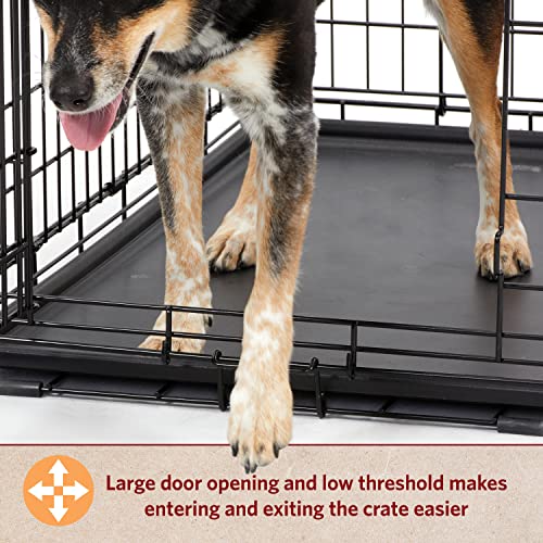 MidWest Homes for Pets Double Door 36-Inch Folding Dog Crate Y75670