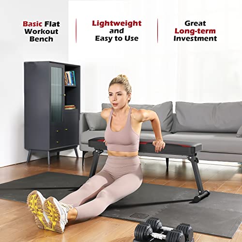 FLYBIRD Flat Bench, Foldable Weight Bench for Strength Training N1742