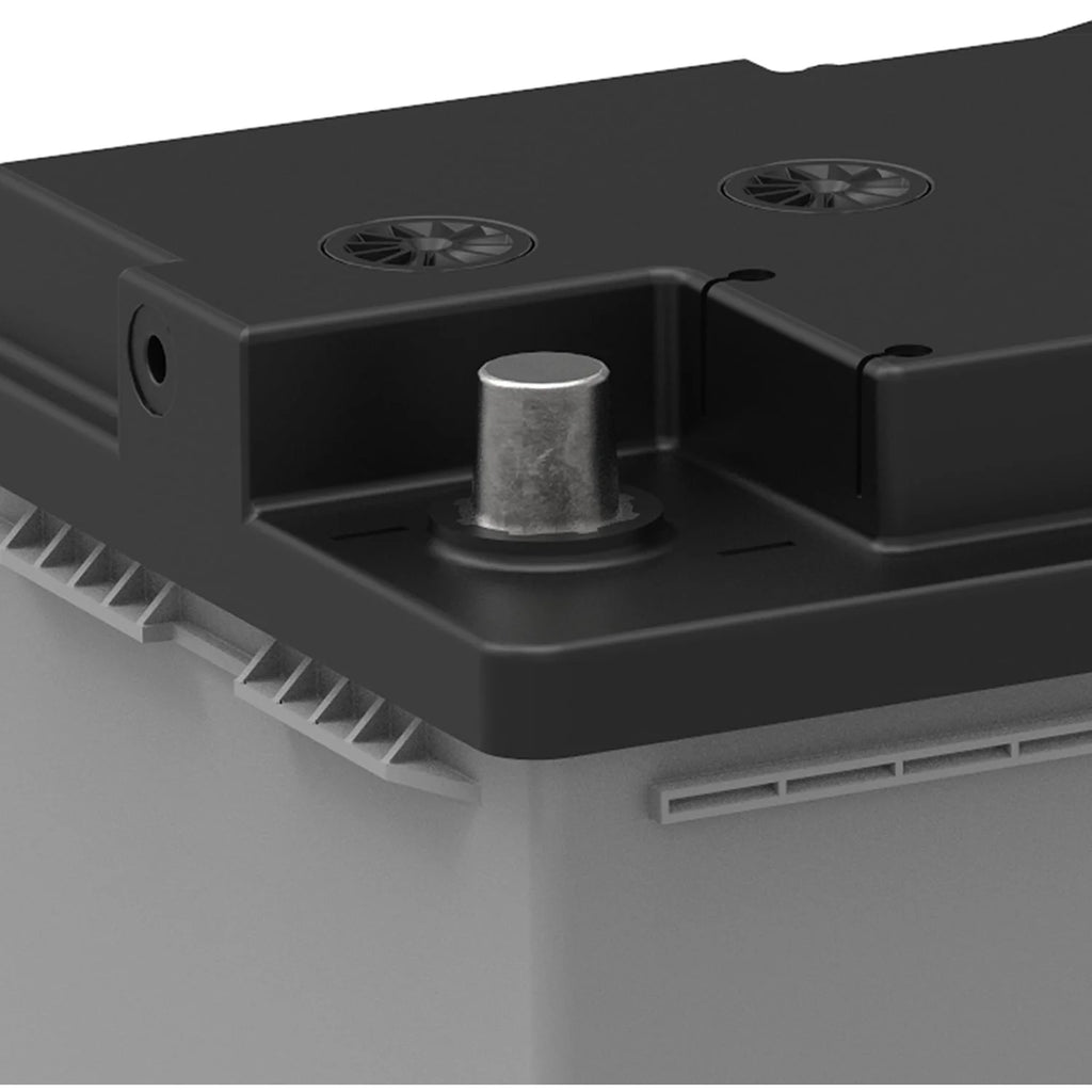 EverStart Platinum AGM Battery Group Size H8 12V 900 CCA M528612