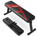 FLYBIRD Flat Bench, Foldable Weight Bench for Strength Training N1742