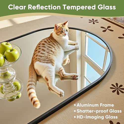 78" Oversized Arched Floor Mirror with Stand, Aluminum Frame, Black N18643