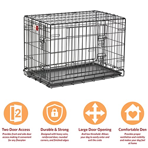 MidWest Homes for Pets Double Door 36-Inch Folding Dog Crate Y75670