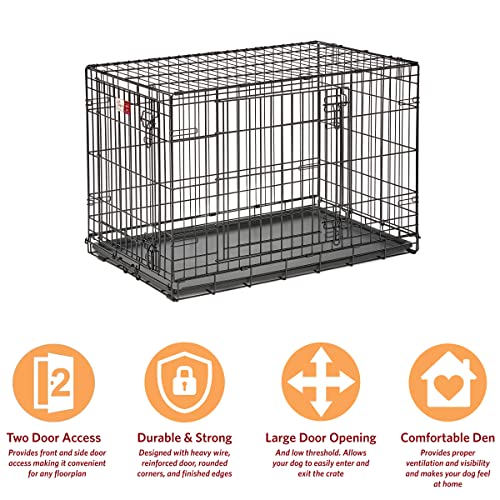 MidWest Homes for Pets Double Door 36-Inch Folding Dog Crate Y75670