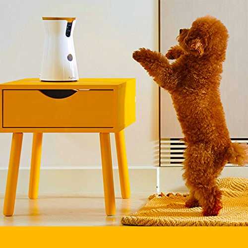 Furbo Dog Camera J5567