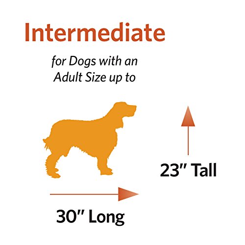 MidWest Homes for Pets Double Door 36-Inch Folding Dog Crate Y75670