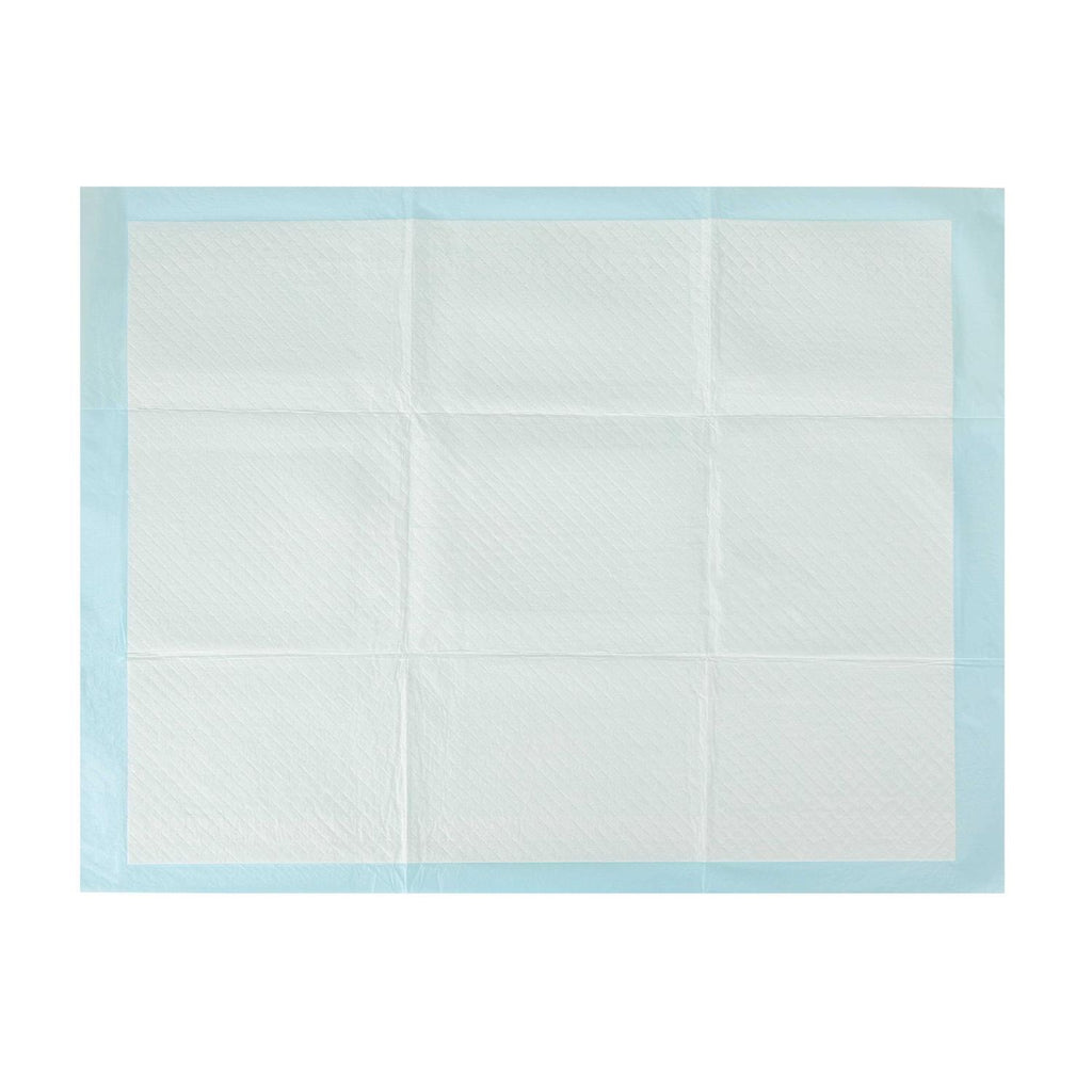 Arm & Hammer for Dogs XL Training Pads Super Absorbent N566223