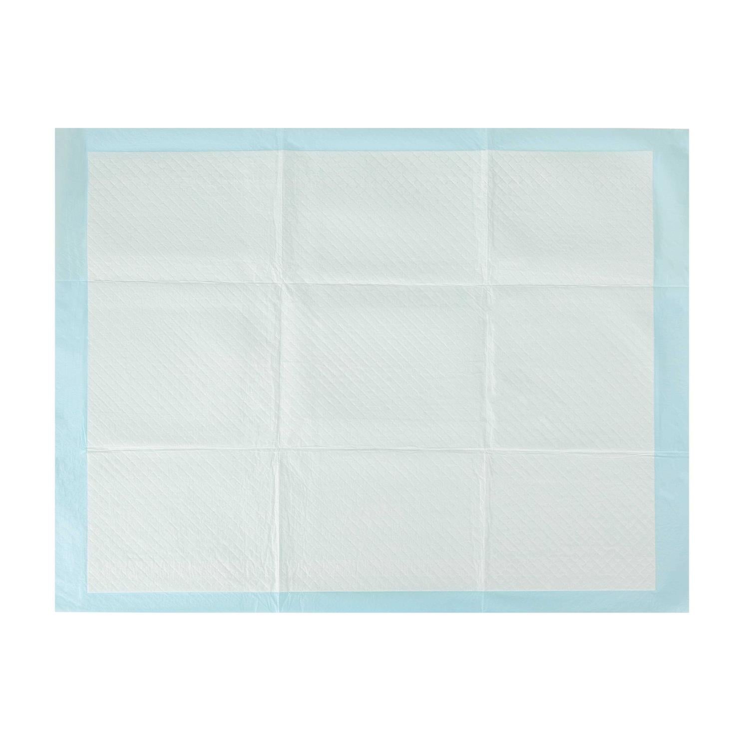 Arm & Hammer for Dogs XL Training Pads Super Absorbent N566223